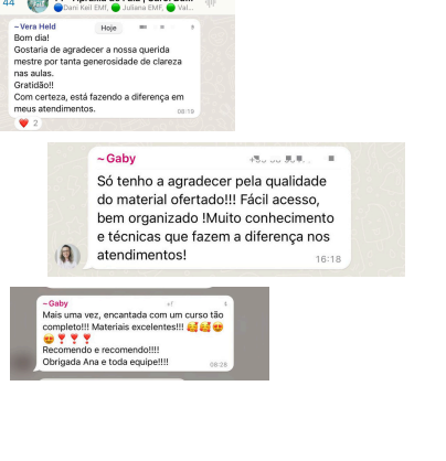 Depoimentos de fonoaudiólogas sobre a formação